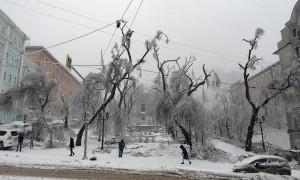 Владивосток после ледяного дождя 20 ноября 2020 г.